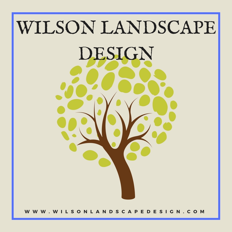 Wilson Landscape Design Reviews Lewisville, TX Angie's List